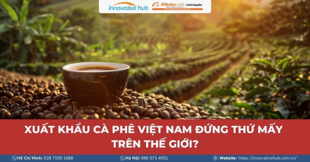 XUẤT KHẨU CÀ PHÊ VIỆT NAM ĐỨNG THỨ MẤY TRÊN THẾ GIỚI?