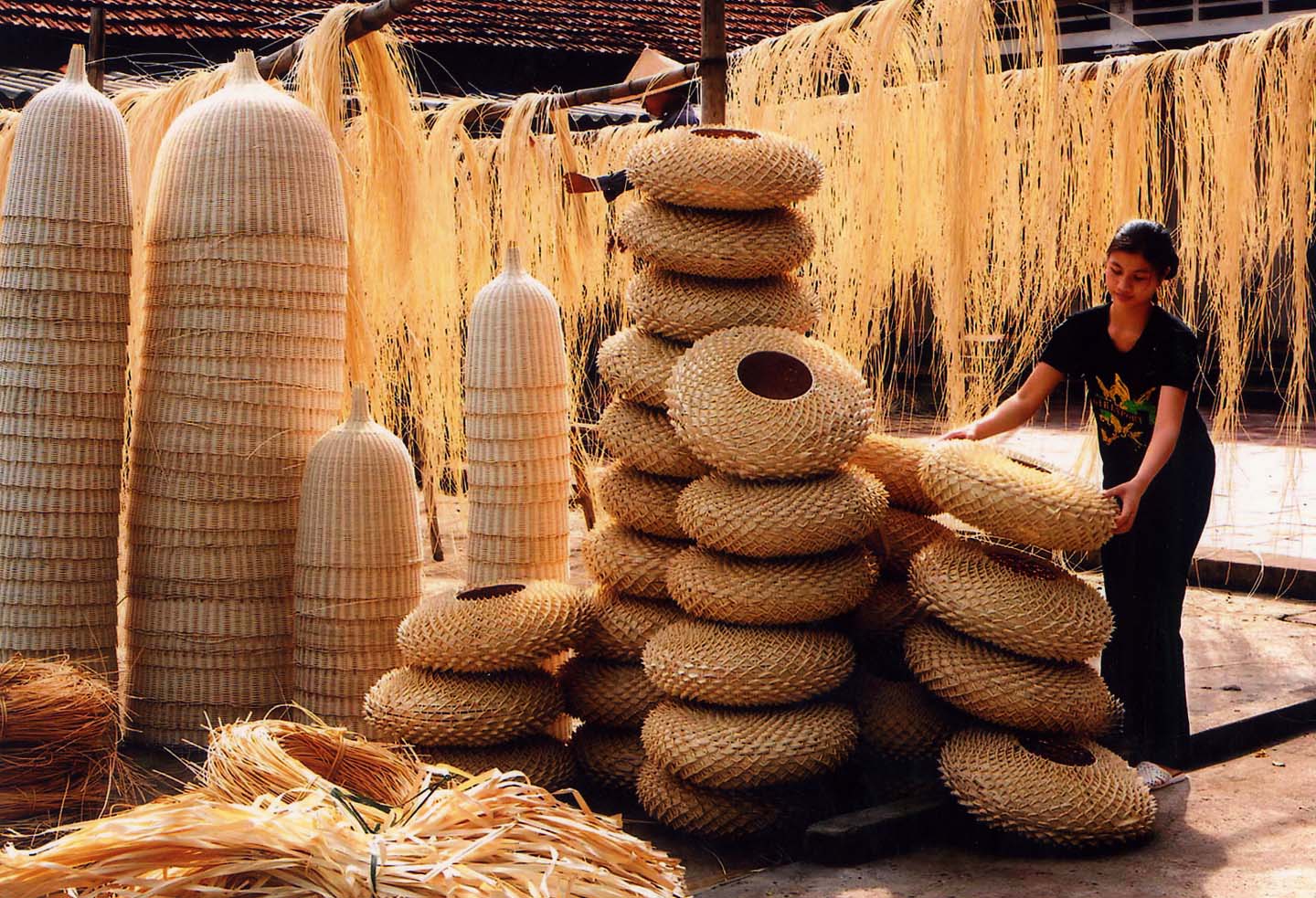 TRIỂN VỌNG PHÁT TRIỂN NGÀNH TCMN VIỆT NAM