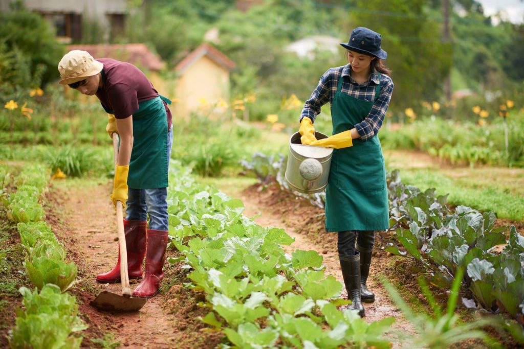 CÁC SẢN PHẨM NÔNG NGHIỆP XUẤT KHẨU CHỦ LỰC Ở VIỆT NAM