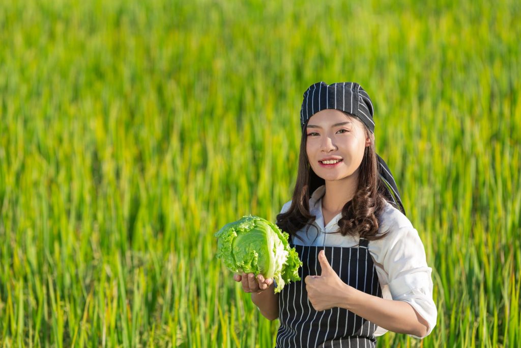 TIÊU CHUẨN XUẤT KHẨU NÔNG SẢN SANG THỊ TRƯỜNG EU