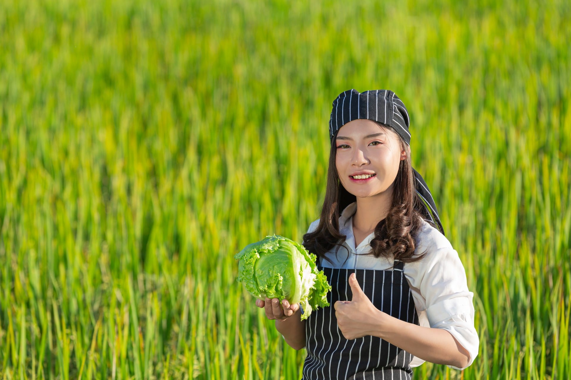 TIÊU CHUẨN XUẤT KHẨU NÔNG SẢN SANG THỊ TRƯỜNG EU