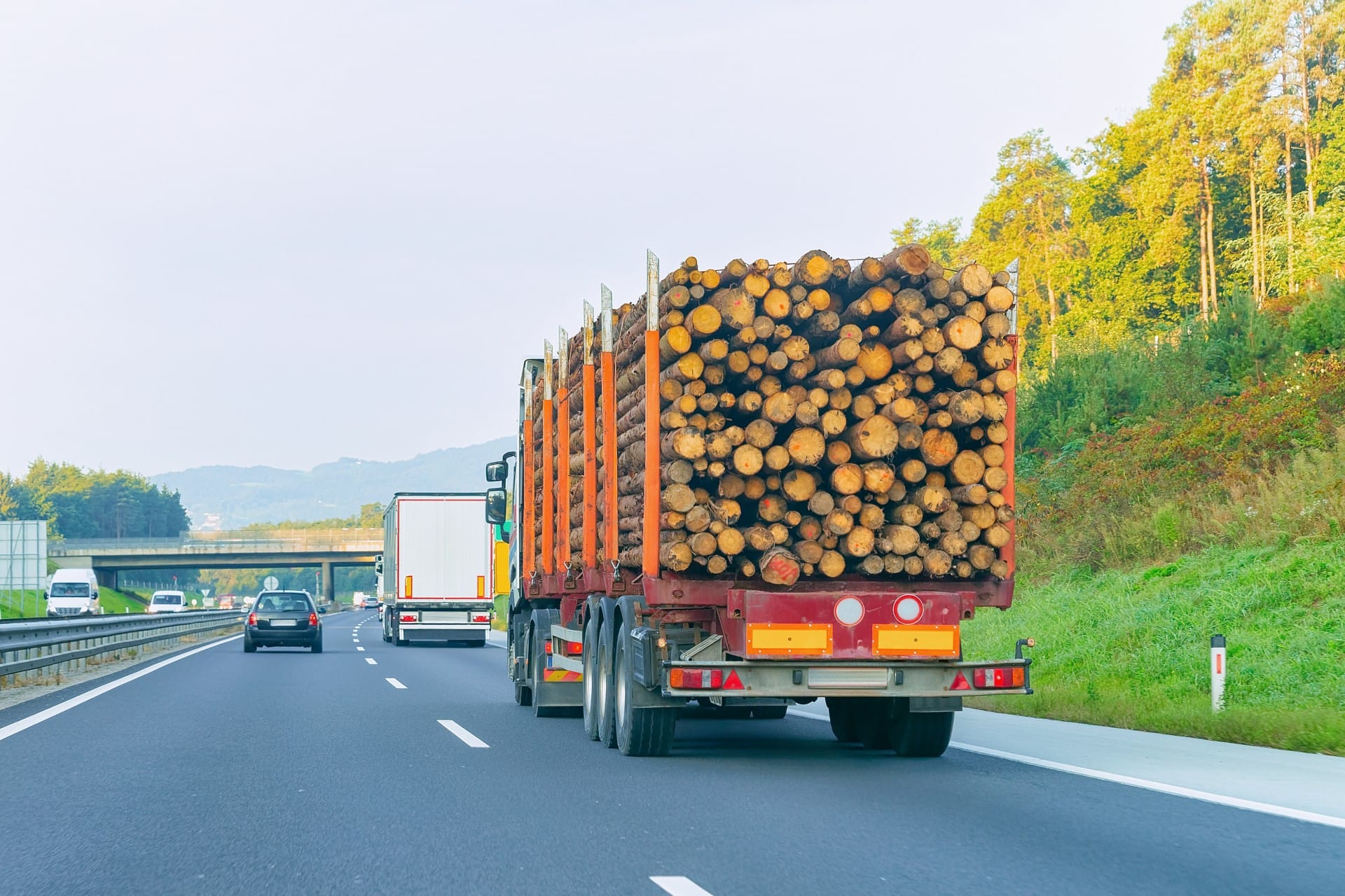 LỢI THẾ CỦA NGÀNH GỖ VÀ LÂM SẢN VIỆT TRONG XUẤT KHẨU
