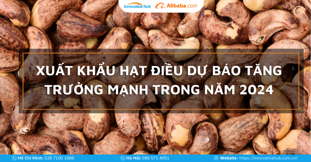 Xuất khẩu hạt điều dự báo tăng trưởng mạnh trong năm 2024