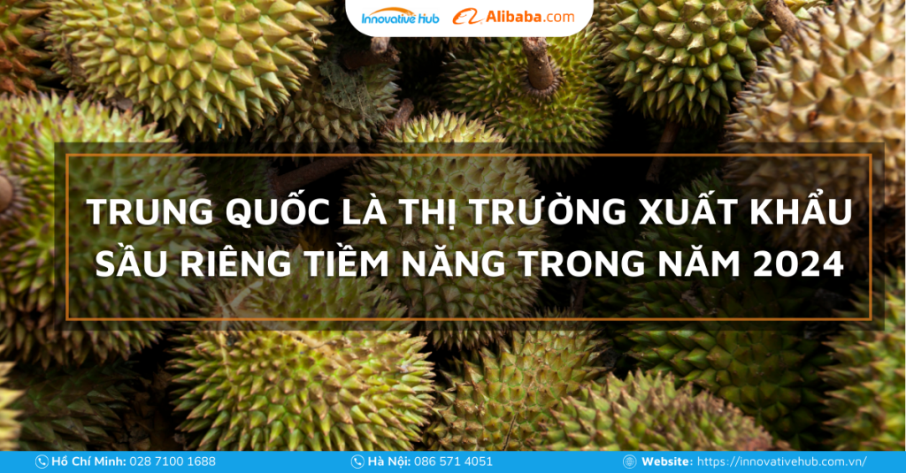 Trung Quốc Là Thị Trường Xuất Khẩu Sầu Riêng Tiềm Năng Trong Năm 2024