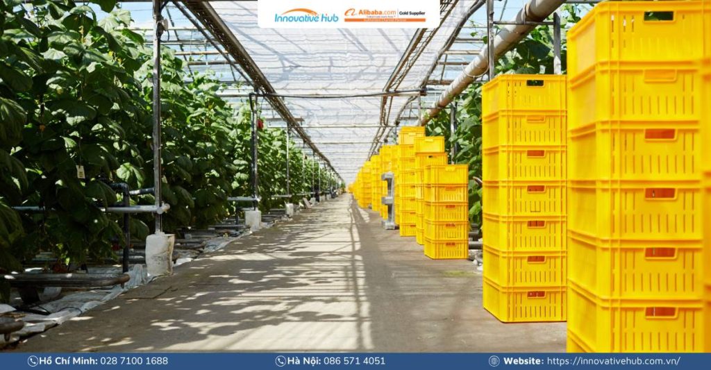 Chuẩn bị kế hoạch xuất khẩu nông sản trong năm 2025
