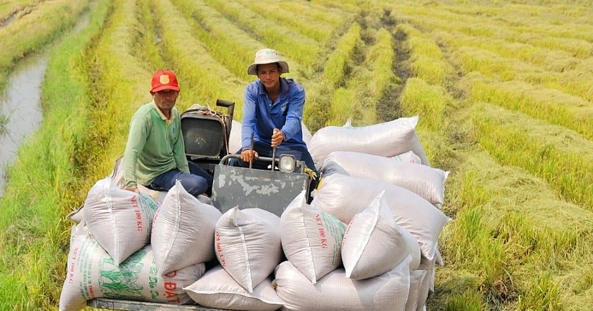 Chính sách xuất khẩu hàng nông sản năm 2025: Cơ hội và thách thức cho ngành nông nghiệp Việt Nam