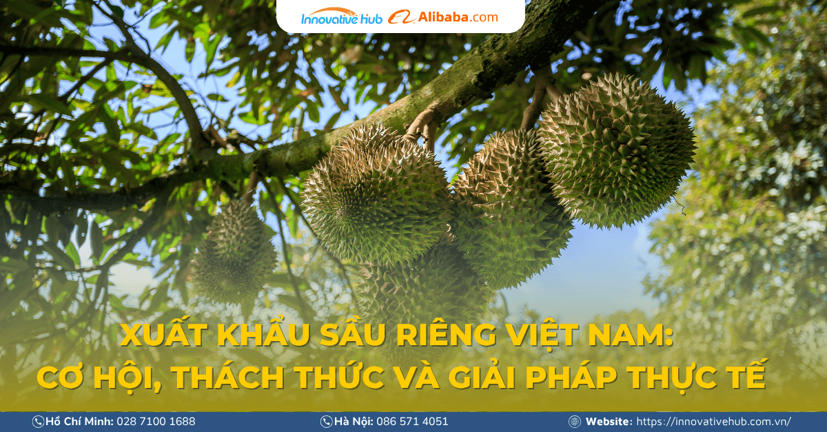 Xuất khẩu sầu riêng Việt Nam: Cơ hội, thách thức và giải pháp thực tế