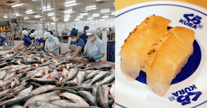 Cá tra Việt Nam lần đầu xuất hiện trong thực đơn sushi Nhật