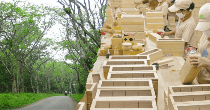 Triển vọng và cơ hội từ khủng hoảng xuất khẩu gỗ