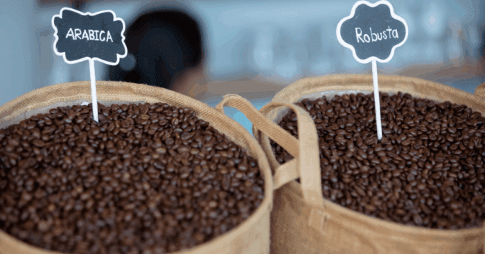 Robusta là động lực tăng trưởng chính của cà phê Việt