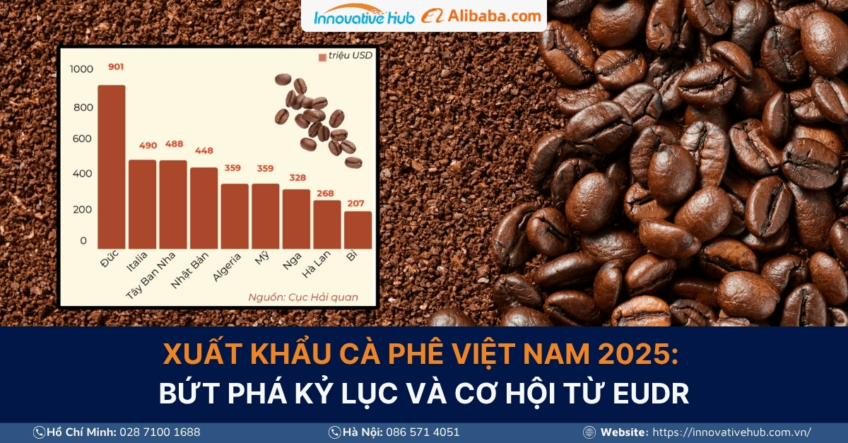 Xuất khẩu cà phê Việt Nam 2025: Bứt phá kỷ lục và cơ hội từ EUDR