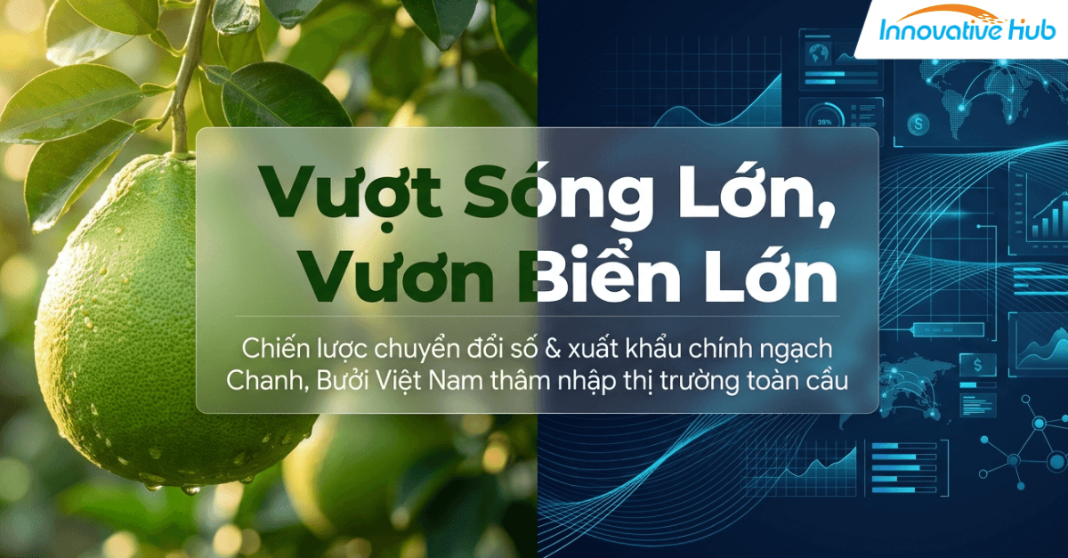 Xuất khẩu chanh bưởi chính ngạch vào Trung Quốc: nghị định mới của Việt Nam