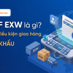 FOB CIF EXW là gì? Cách chọn điều kiện giao hàng khi xuất khẩu