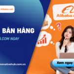 Có nên bán hàng trên Alibaba.com ngay bây giờ?