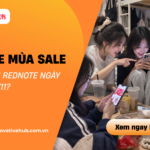 Làm gì trên Rednote mùa sale Double 11?