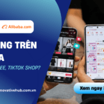 Bán hàng trên Alibaba khác gì Shopee, TikTok Shop?